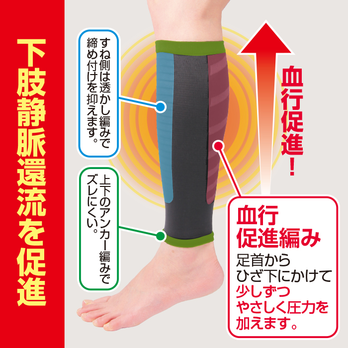 かかしさんのja 農協 通信販売 一般医療機器弾性ストッキング 足つらナイト かかしさんのja 農協 通信販売 一般医療機器弾性ストッキング 足つらナイト