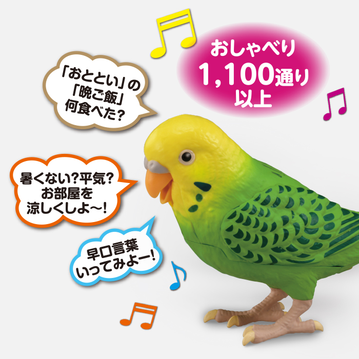 品数豊富 毎日おしゃべり 天才インコちゃん 青色 脳トレやゲームで楽しめます 認知症予防にも プレゼント 電池プレゼント Materialworldblog Com