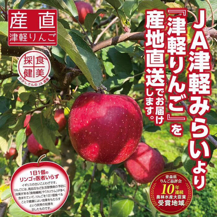 かかしさんのja 農協 通信販売 産直津軽みらい林檎