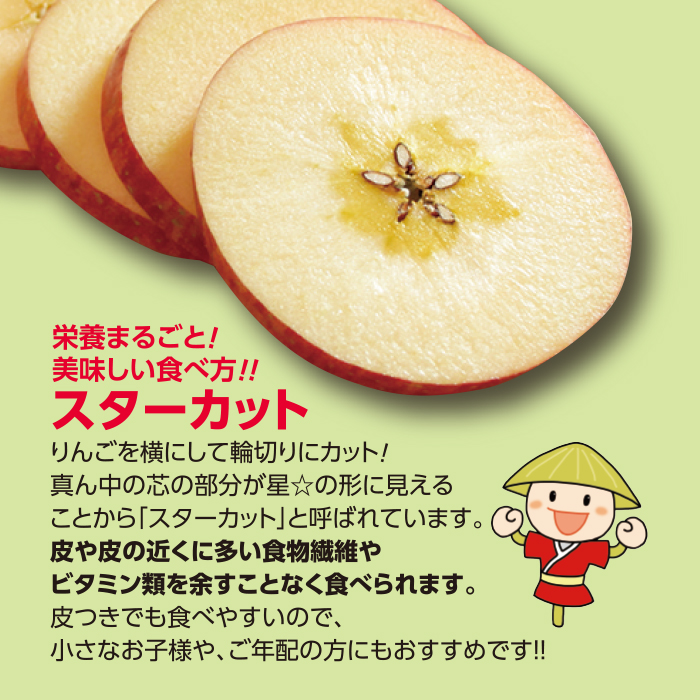 かかしさんのja 農協 通信販売 産直津軽みらい林檎