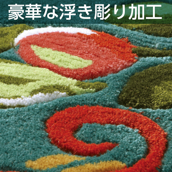 かかしさんのJA(農協)通信販売 / 高級フック緞通調 玄関マット&框 かかしさんのJA(農協)通信販売 / 高級フック緞通調 玄関マット&框