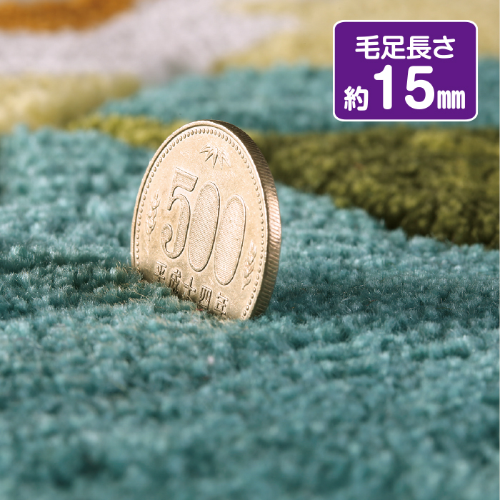 かかしさんのJA(農協)通信販売 / 高級フック緞通調 玄関マット&框 かかしさんのJA(農協)通信販売 / 高級フック緞通調 玄関マット&框